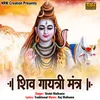 About Shiv Gayatri Mantra Song